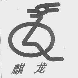 麒龙