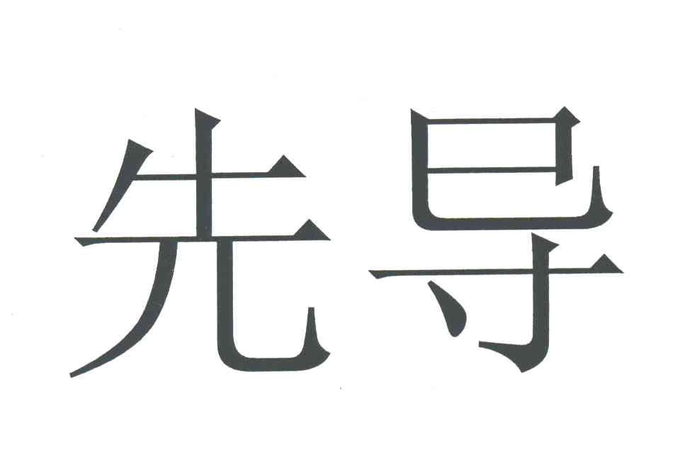 先导