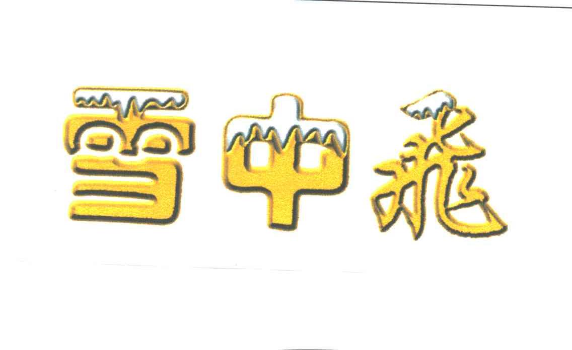 雪中飞