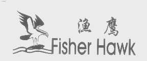 渔鹰   FISHER HAWK