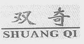 双奇