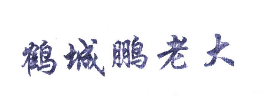 鹤城鹏老大