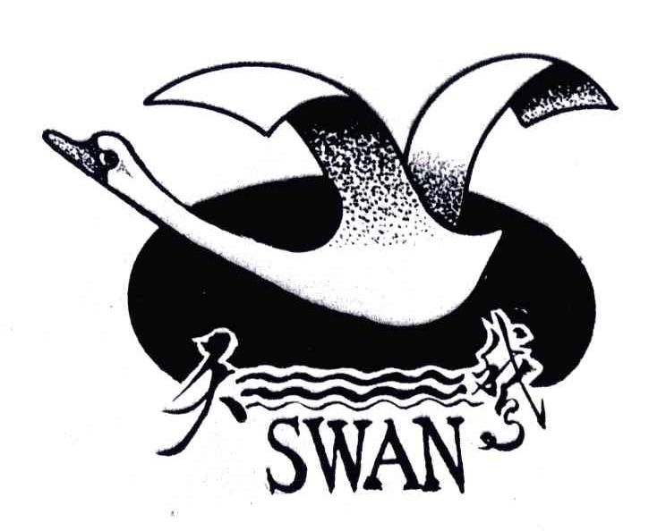 天鹅;SWAN