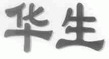 华生