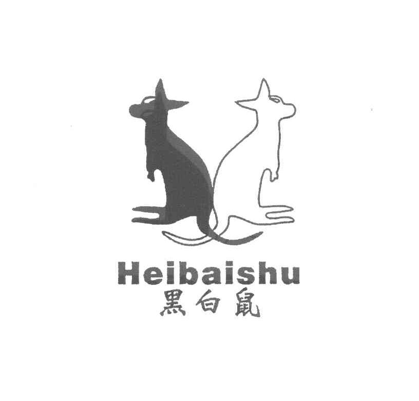 黑白鼠