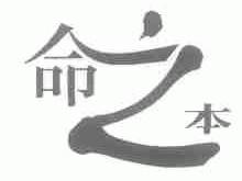 命之本