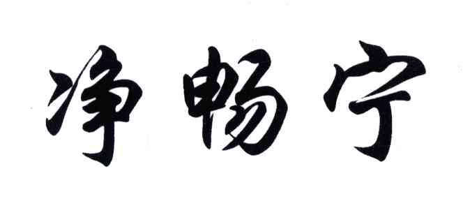 净畅宁
