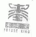 未来王;FUTURE KING