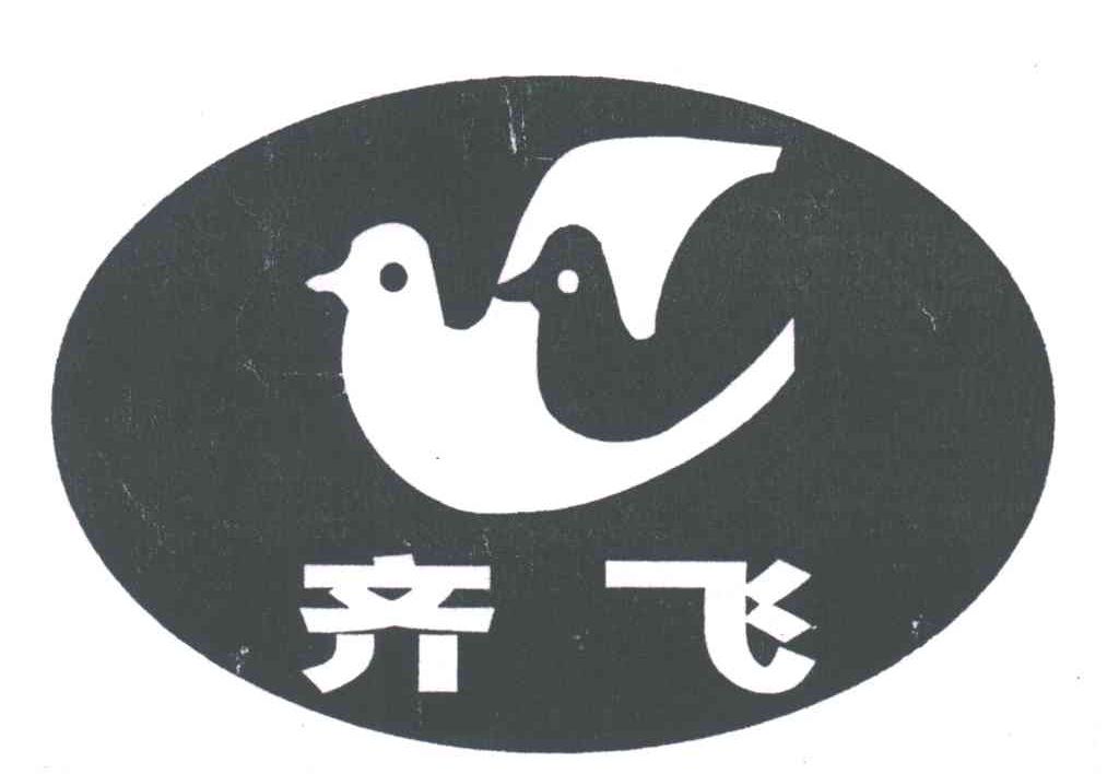 齐飞