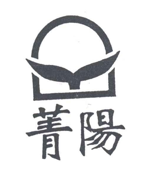 菁阳