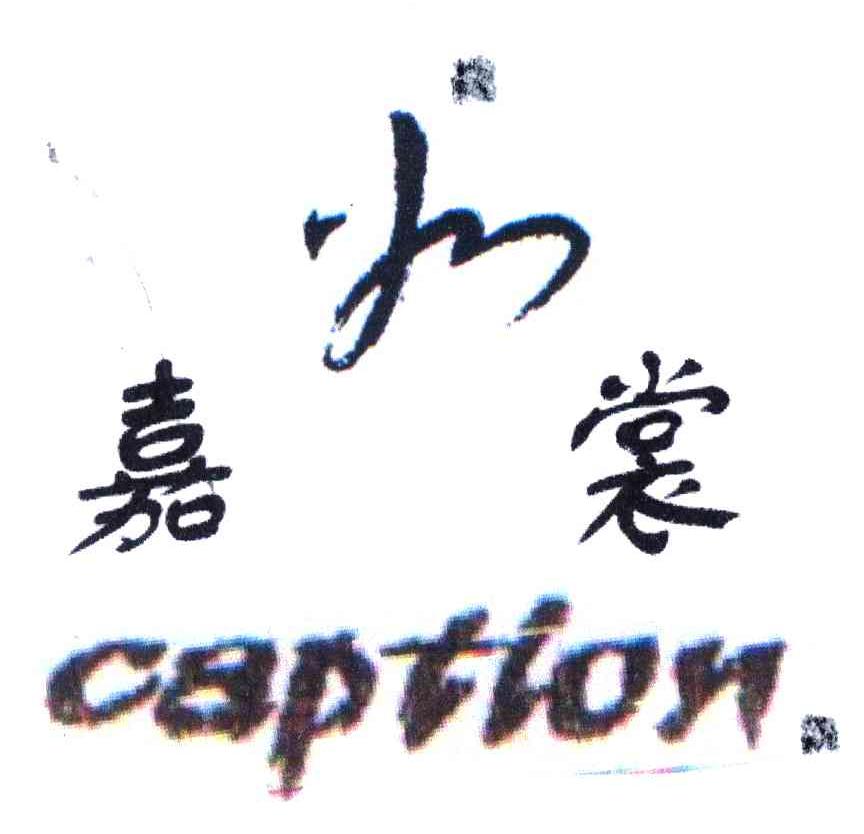 嘉裳;CAPTION