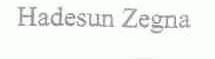 HADESUM ZEGNA