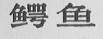 鳄鱼