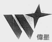 伟星