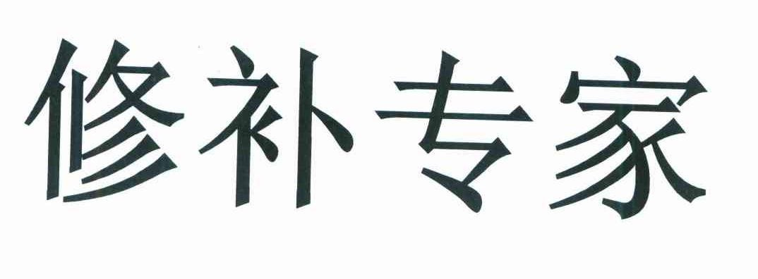 修补专家