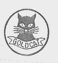 GOLD CAT