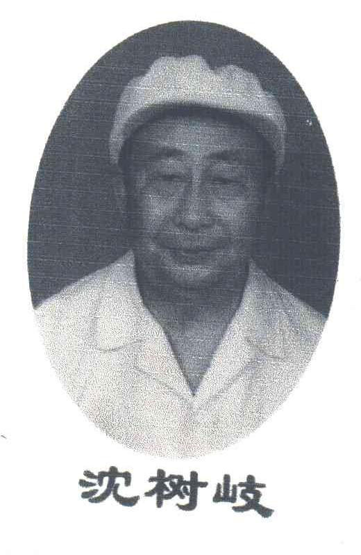 沈树岐