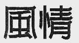 风情