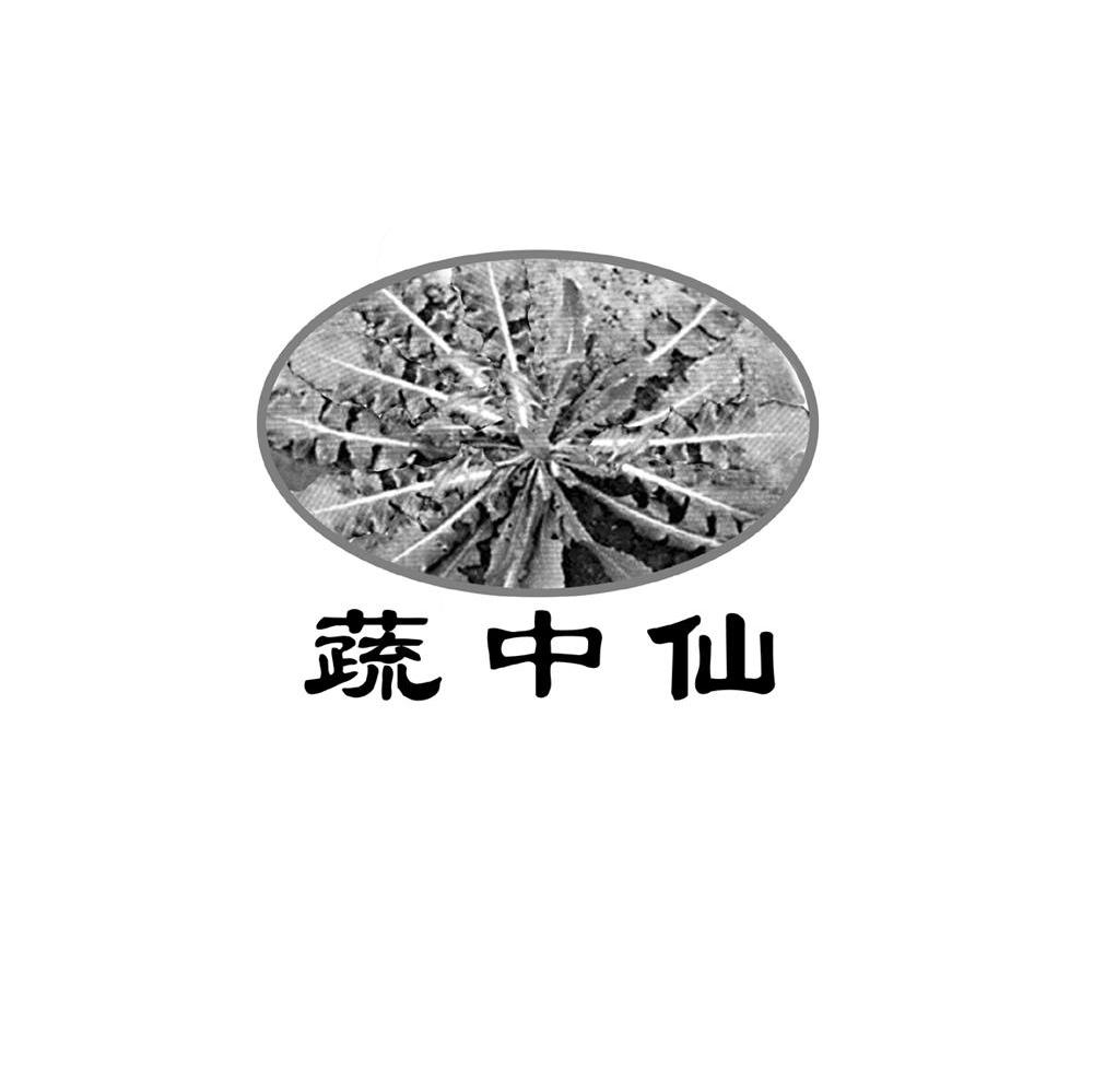 蔬中仙
