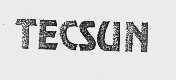 TECSUN