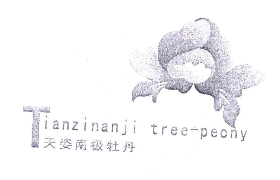 天姿南极;TIANZINANJITREEPEONY