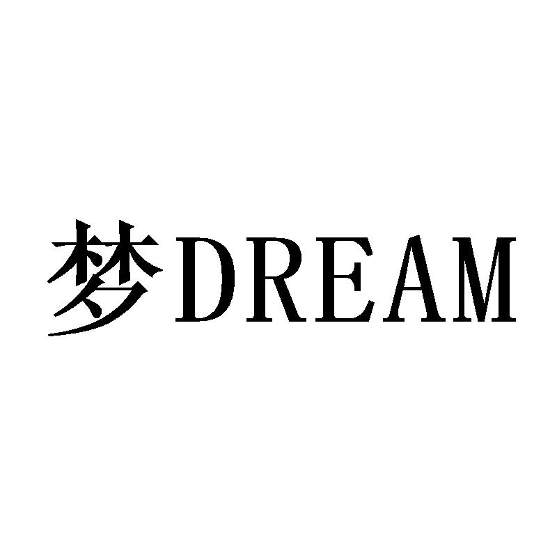 梦 DREAM