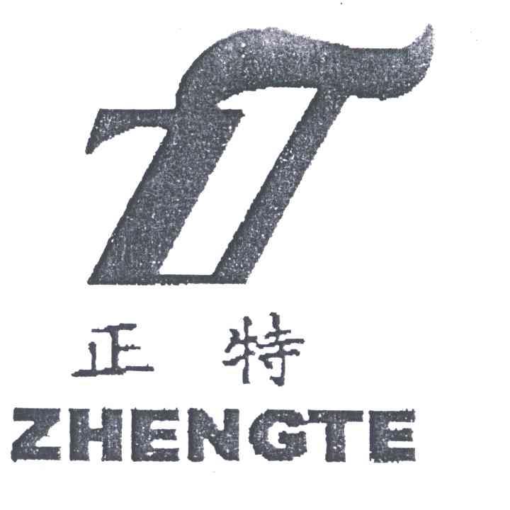 正特