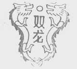 双龙