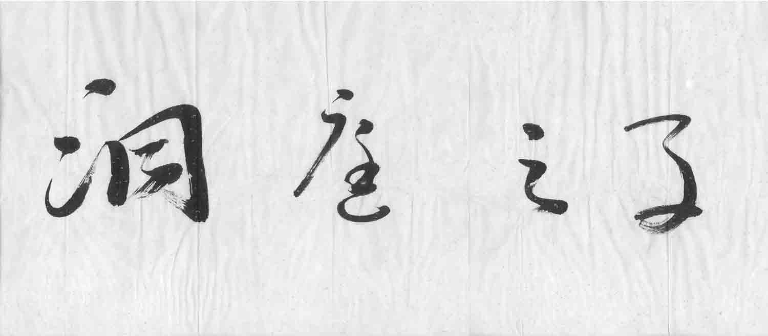 洞庭之子