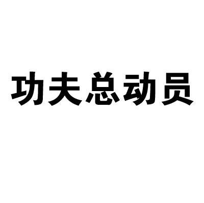 功夫总动员
