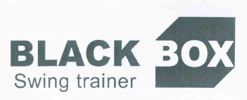 BLACK BOX SWING TRAINER