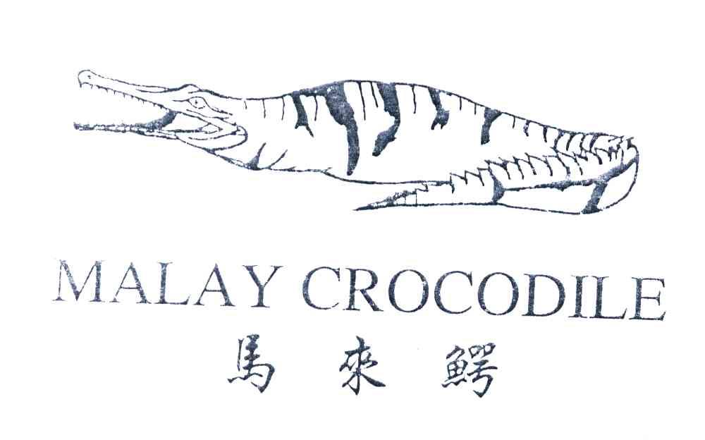 马来鳄;MALAY CROCODILE