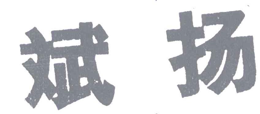 斌扬