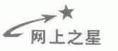 网上之星