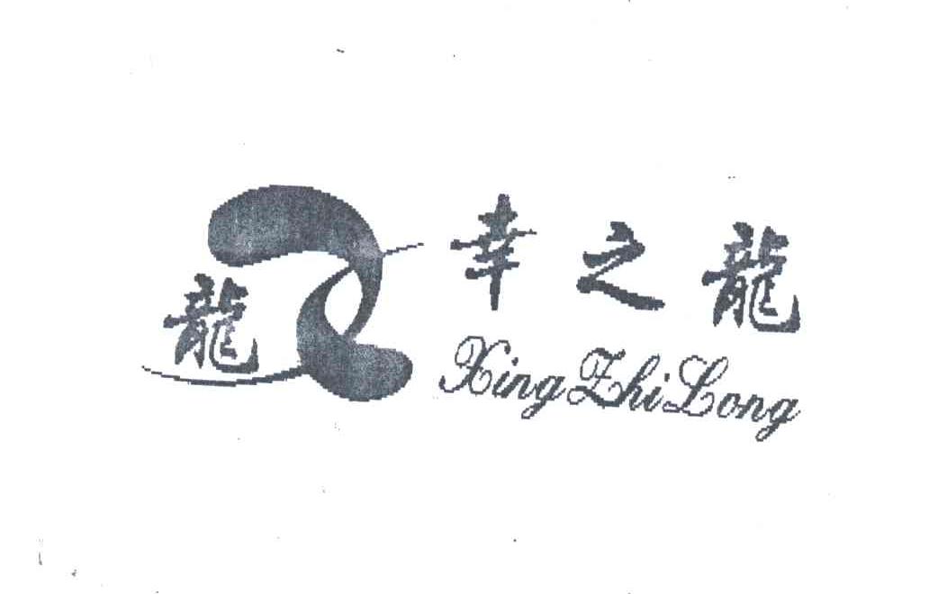 幸之龙;龙