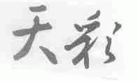 天彩