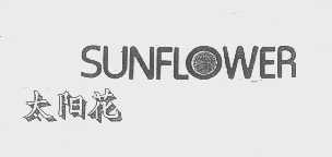 太阳花   SUNFLOWER