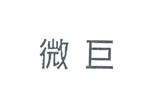 微巨