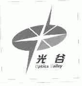 光谷;OPTICS VALLEY