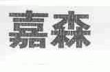 嘉森
