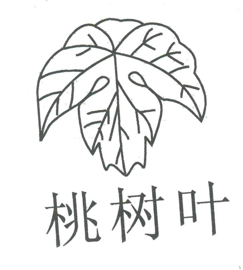 桃树叶