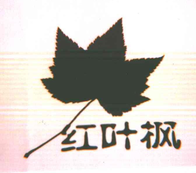 红叶枫