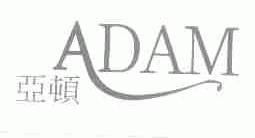 亚顿;ADAM