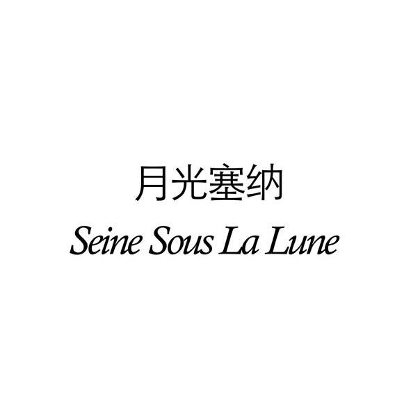 月光塞纳 SEINE SOUS LA LUNE