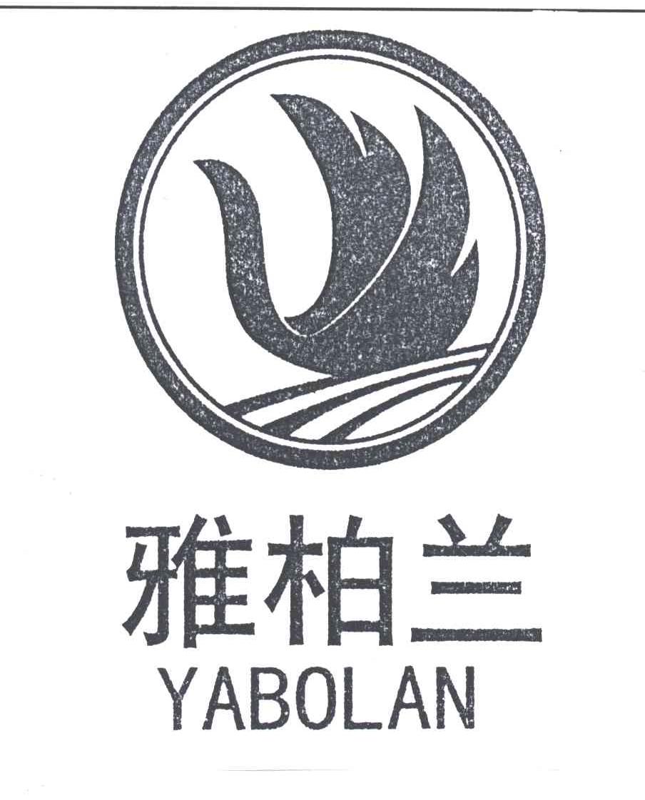 雅柏兰