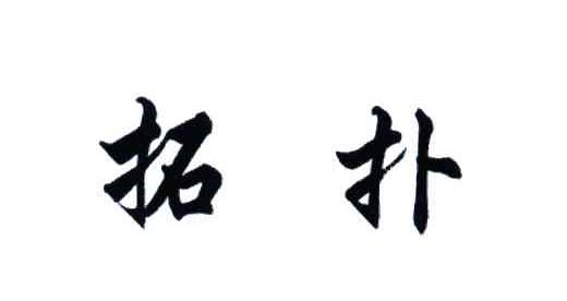 拓扑