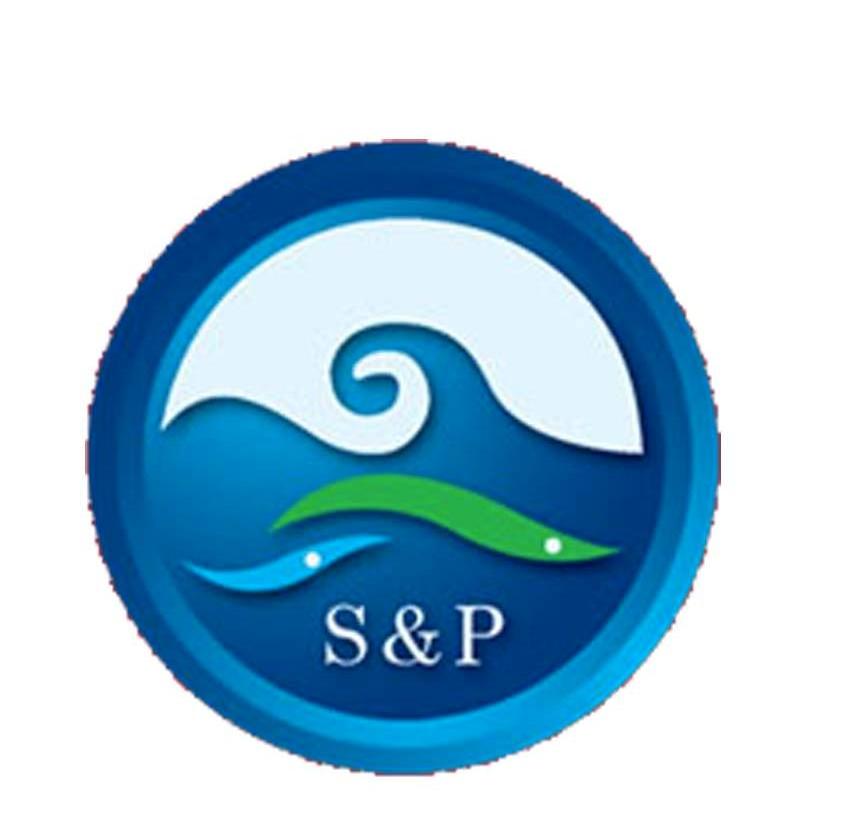 S&P