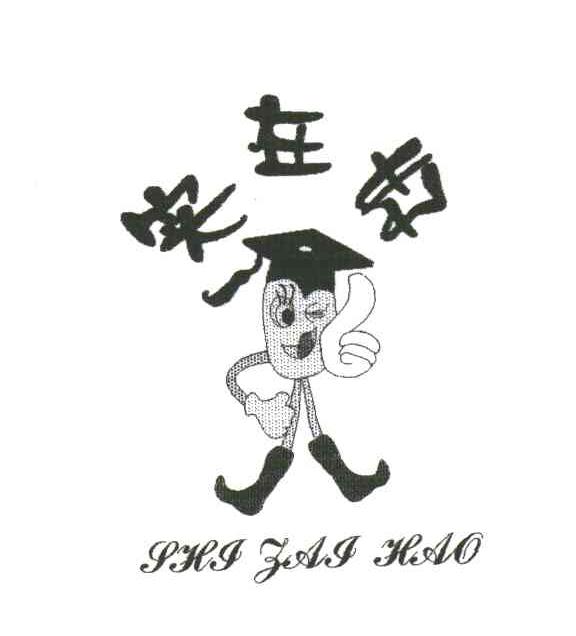 实在好;SHI ZAI HAO