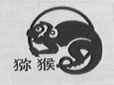 猕猴