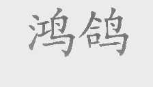 鸿鸽